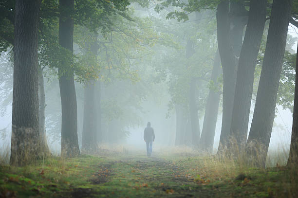 Person walking slowly through a tree-lined path in early morning mist